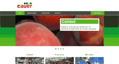 Desktop Screenshot of caver.es