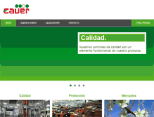 Tablet Screenshot of caver.es